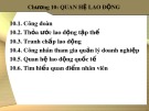 Bài giảng Quản trị nguồn nhân lực: Chương 10 - Th.S Trần Phi Hoàng