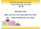 Báo cáo: Hình thái cấu tạo thích nghi của thực vật ở môi trường đất lầy ngập mặn