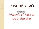 Bài giảng Kinh tế vi mô: Chương 4 - Lê Phương