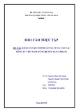 Báo cáo: Khảo sát qui trình công nghệ sản xuất Há Cảo