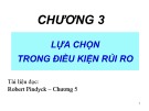 Bài giảng Chương 3: Lựa chọn trong điều kiện rủi ro