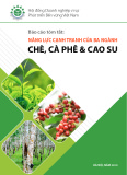 Báo cáo tóm tắt: Năng lực cạnh tranh của ba ngành chè, cà phê và cao su