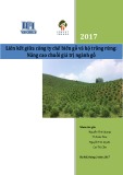 Báo cáo Liên kết giữa công ty chế biến gỗ và hộ trồng rừng: Nâng cao chuỗi giá trị ngành gỗ