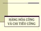 Bài giảng Tài chính công: Chương 4 - TS. Nguyễn Thành Đạt