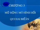 Bài giảng Kinh tế lượng - Chương 3: Mở rộng mô hình hồi qui hai biến (39 tr)