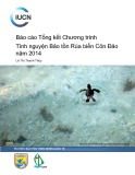 Báo cáo tổng kết: chương trình tình nguyện bảo tồn rùa biển côn đảo năm 2014