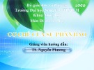 Bài giảng Di truyền thực vật - Nhóm 10: Sinh trưởng và phát triển