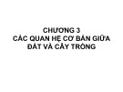 Bài giảng Độ phì nhiêu đất đai và phân bón - Chương 3: Các quan hệ cơ bản giữa đất và cây trồng