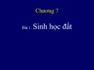 Bài giảng Khoa học đất - Chương 7: Trạng thái sinh học đất