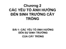 Bài giảng Độ phì nhiêu đất đai và phân bón - Chương 2: Các yếu tố ảnh hưởng đến sinh trưởng cây trồng