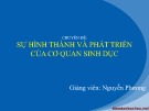 Bài giảng Di truyền thực vật - Nhóm 9: Sự hình thành và phát triển của cơ quan sinh dục