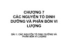 Bài giảng Độ phì nhiêu đất đai và phân bón - Chương 7:  Các nguyên tố dinh dưỡng và phân bón vi lượng