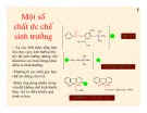 Bài giảng Sinh lý thực vật - Bài 7: Một số chất ức chế sinh trưởng