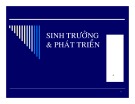 Bài giảng Sinh trưởng và phát triển