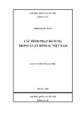 Tóm tắt Luận văn thạc sĩ: Các hình phạt bổ sung trong luật hình sự Việt Nam