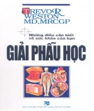 giải phẫu học: phấn 1