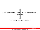 Bài giảng Hệ quản trị cơ sở dữ liệu Oracle: Chương 1 - Ngô Thùy Linh