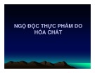 Bài giảng Vệ sinh an toàn thực phẩm: Ngộ độc thực phẩm do hóa chất - ThS. Văn Hồng Thiện