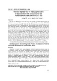 Tìm hiểu một số yếu tố tiên lượng nặng ở bệnh nhân nhiễm khuẩn huyết do Acinetobacter baumannii tại Hà Nội