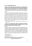 Khảo sát mối liên quan giữa nồng độ Glucagon like peptid-1 với chỉ số khối cơ thể và các chỉ số HOMA2 ở bệnh nhân đái tháo đường týp 2 chẩn đoán lần đầu