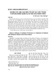 Nghiên cứu hiệu quả điều trị đột quỵ não trong 6 giờ đầu bằng dụng cụ cơ học Solitaire stent