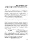 Nghiên cứu hiệu quả điều trị người bệnh sảy thai liên tiếp do nhiễm Cytomegalovirus bằng Acyclovir