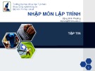 Bài giảng Nhập môn lập trình - Bài 15: Tập tin