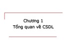 Bài giảng Cơ sở dữ liệu - Chương 1: Tổng quan CSDL