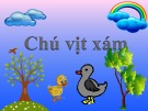 Bài giảng Lĩnh vực phát triển kĩ năng tình cảm xã hội - Bài: Chú vịt xám