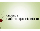 Bài giảng Quản trị rủi ro: Chương 1 - Võ Hữu Khánh