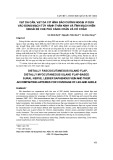 Vạt da cân, vạt da cơ hình đảo cuống ngoại vi dựa vào động mạch tùy hành thần kinh và tĩnh mạch hiển ngoài để che phủ cẳng chân và cổ chân