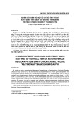 Nghiên cứu biến đổi một số chỉ số hình thái và huyết động tĩnh mạch đầu đường thông động tĩnh mạch ở bệnh nhân suy thận mạn tính chạy thận nhân tạo chu kỳ