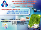 Bài giảng Công nghệ bảo quản - Bài: Nguyên liệu nho – Bảo quản nho sau thu hoạch