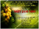 Bài giảng Công nghệ chế biến lương thực - Bài: Mứt Jam nho