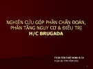 Báo cáo chuyên đề: Nghiên cứu góp phần chẩn đoán, phân tầng nguy cơ và điều trị H/C Brugadac - TS.BS. Tôn Thất Minh