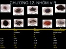 Bài giảng Hóa học - Chương 12: Nhóm VIB