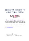 Thông tin tóm tắt về công ty đại chúng Bà Nà Hills