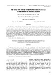 Một số đặc điểm sinh học và biện pháp xử lý đỉa (Piscicola sp.) ký sinh trên rùa voi (Heosemys annandalii)