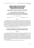 Sử dụng giá thể gốm kỹ thuật và phân chậm tan trồng cây rau húng bạc hà (Mentha arvensis l.) trong nhà có mái che tại Gia Lâm, Hà Nội