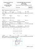 Đề thi thử THPT Quốc gia môn Toán năm 2018 - Sở GD&ĐT Cà Mau - Mã đề 101