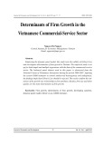 Determinants of firm growth in the Vietnamese commercial-service sector
