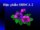 Bài giảng Sinh học đại cương - Chương 1: Sự phát triển của cấu tạo cơ thể thực vật