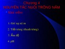 Bài giảng Sinh học và kỹ thuật trồng nấm - Chương 4: Nguyên tắc nuôi trồng nấm