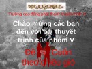 Bài giảng Ngữ văn lớp 12 - Bài: Tác phẩm "Cuốn theo chiều gió"