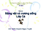 Bài giảng Sinh học - Bài: Lớp Cá sụn