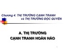 Bài giảng Kinh tế học: Chương 4 - Trương Ngọc Hảo