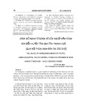 Cách sử dụng từ xưng hô của người dân vùng ven biển huyện Tĩnh Gia tỉnh, Thanh Hoá