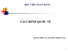 Bài giảng Tài chính quốc tế: Chương 1 - TS. Nguyễn Trọng Tài