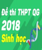 Đề thi THPT Quốc gia môn Sinh năm 2018 - Có đáp án