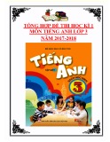 Tổng hợp đề thi học kì 1 môn Tiếng Anh lớp 3 năm 2017-2018